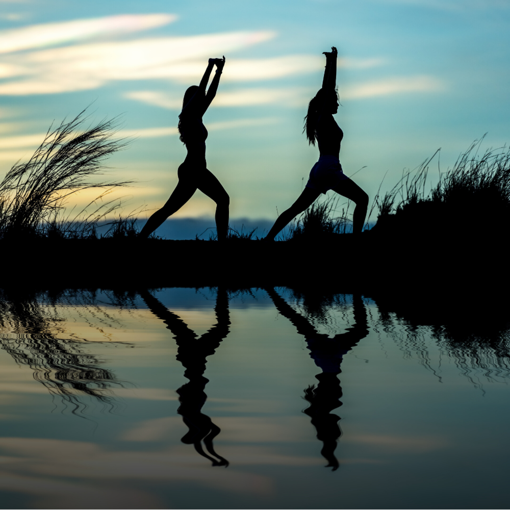 Women in Sport and Exercise Academic Network