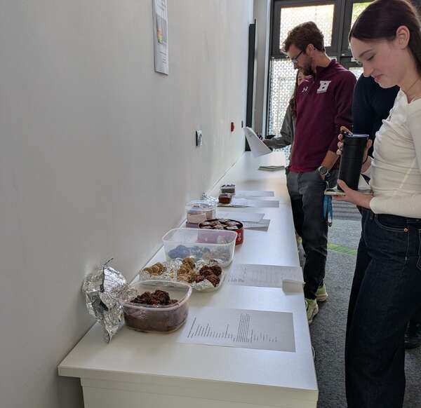 bake_off_testing1